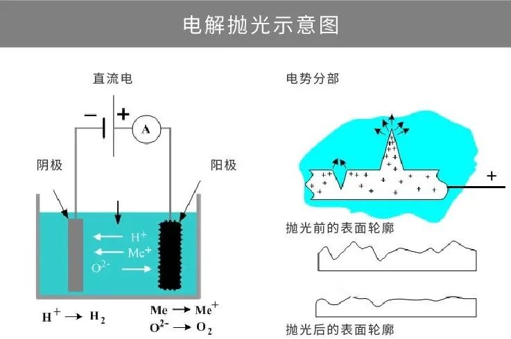 微信图片_20231214093701.jpg